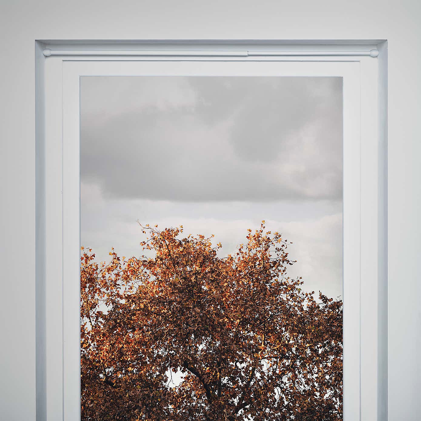 Extendable White Tension Rod