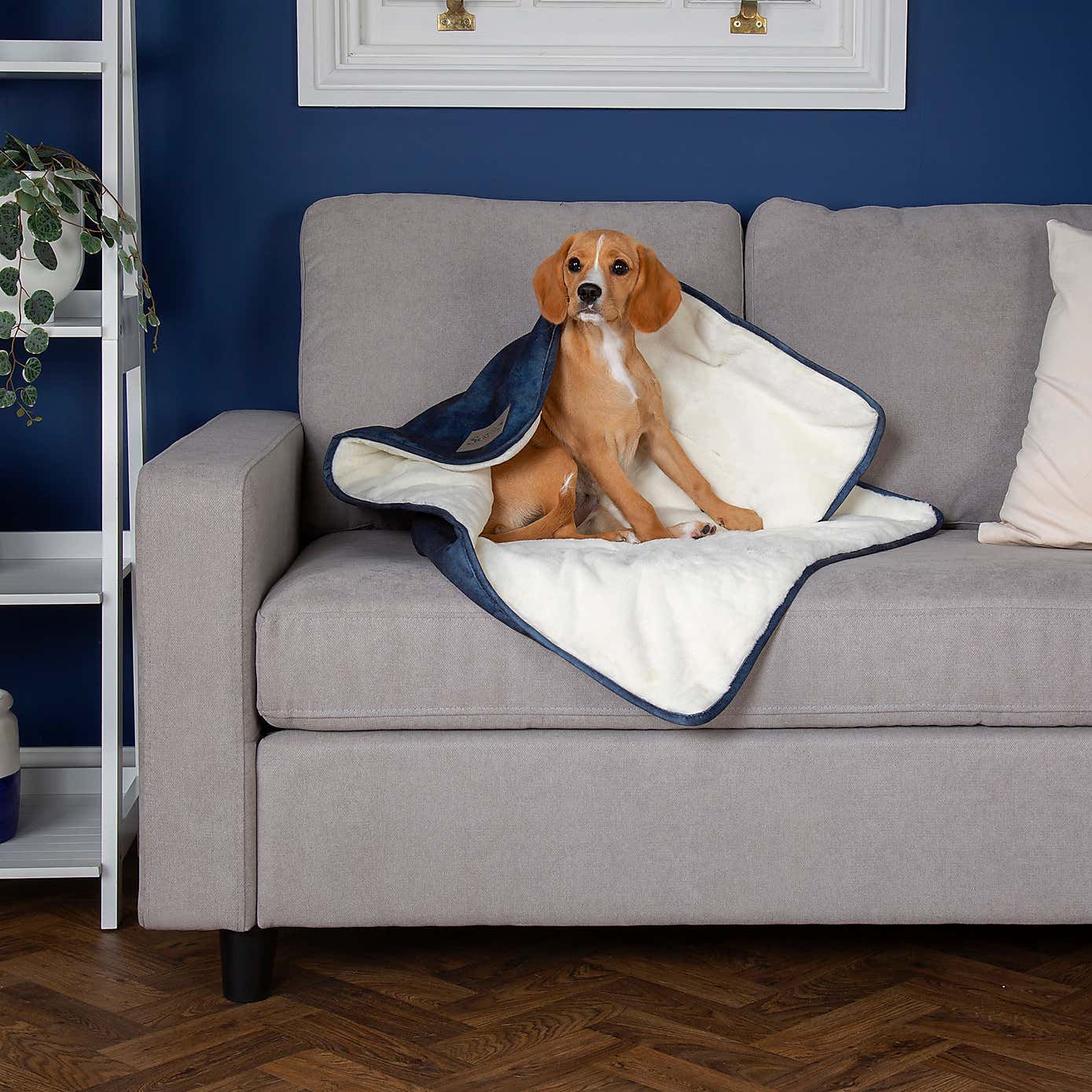 Scruffs Kensington Dog Blanket