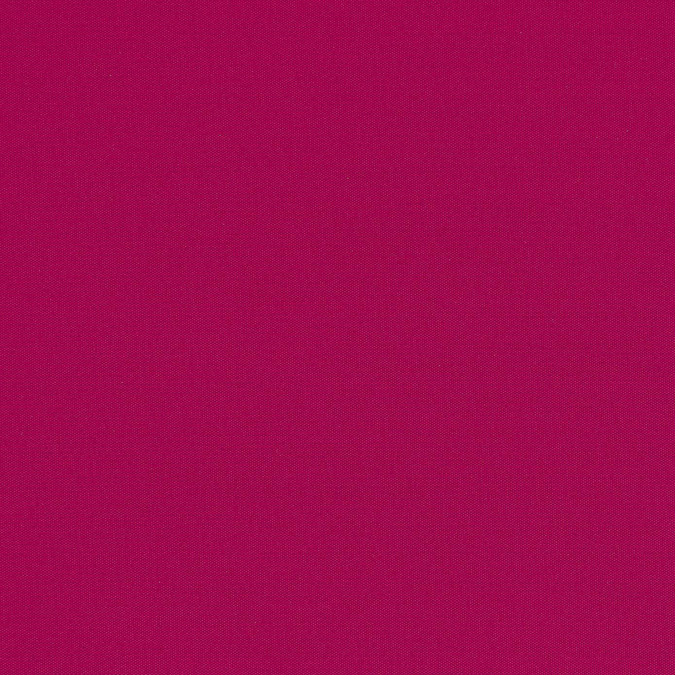 Blackout Roller Blind