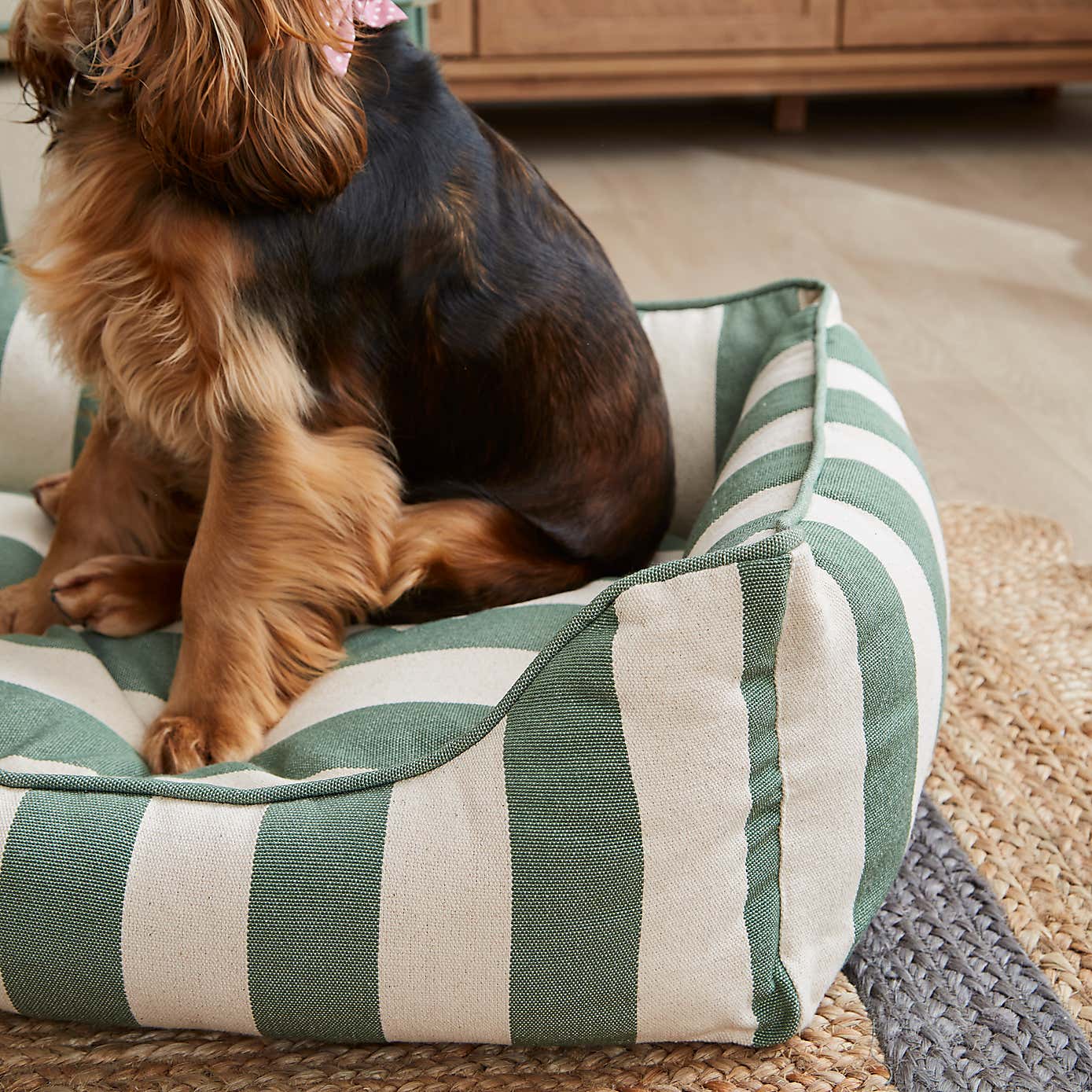 Beatrice Stripe Box Pet Bed
