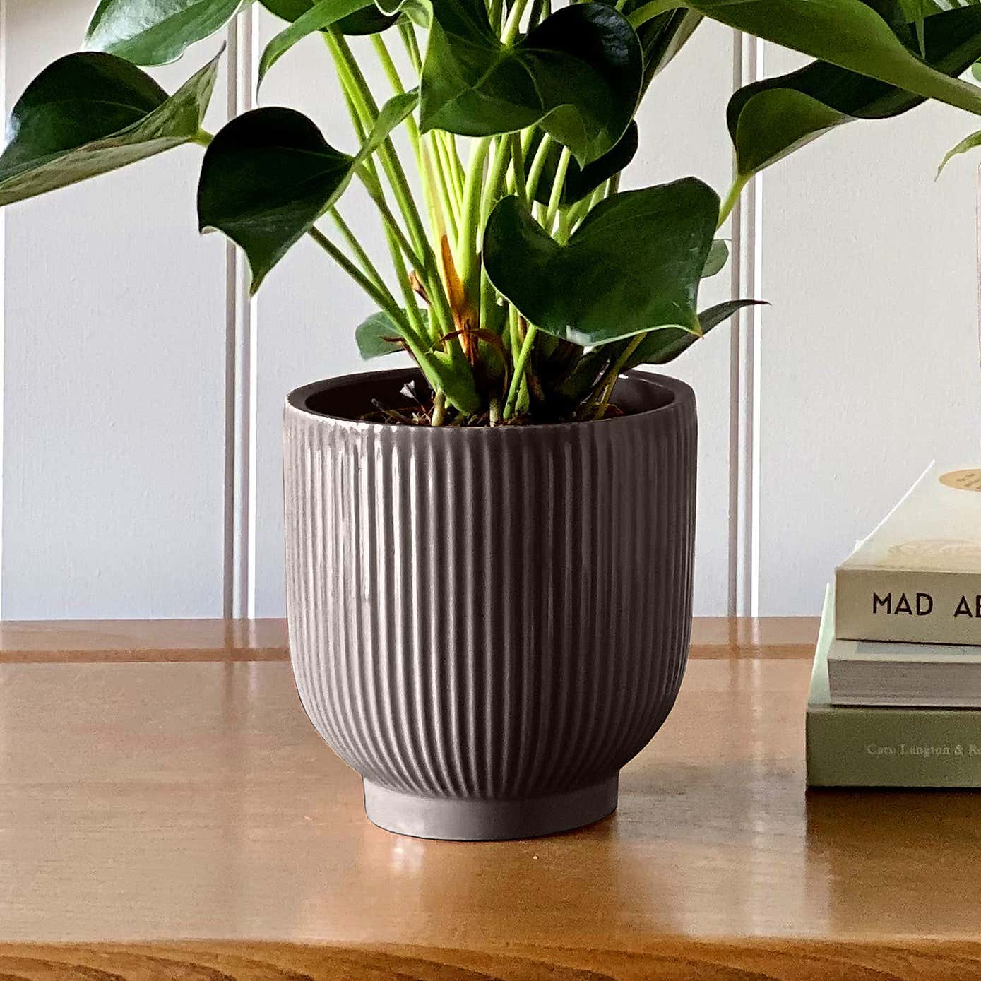 Beards & Daisies Air Purifying Pair Peace Lily and Peach Anthurium House Plant in Ribbed Pot