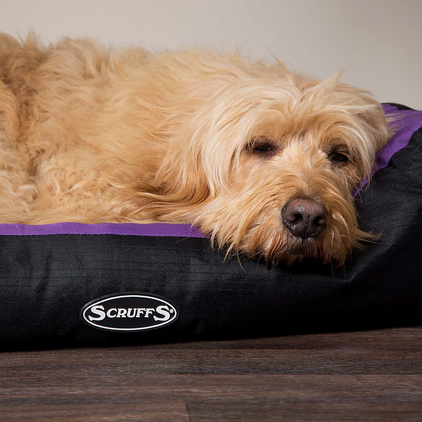 Scruffs Pet Expedition Box Bed