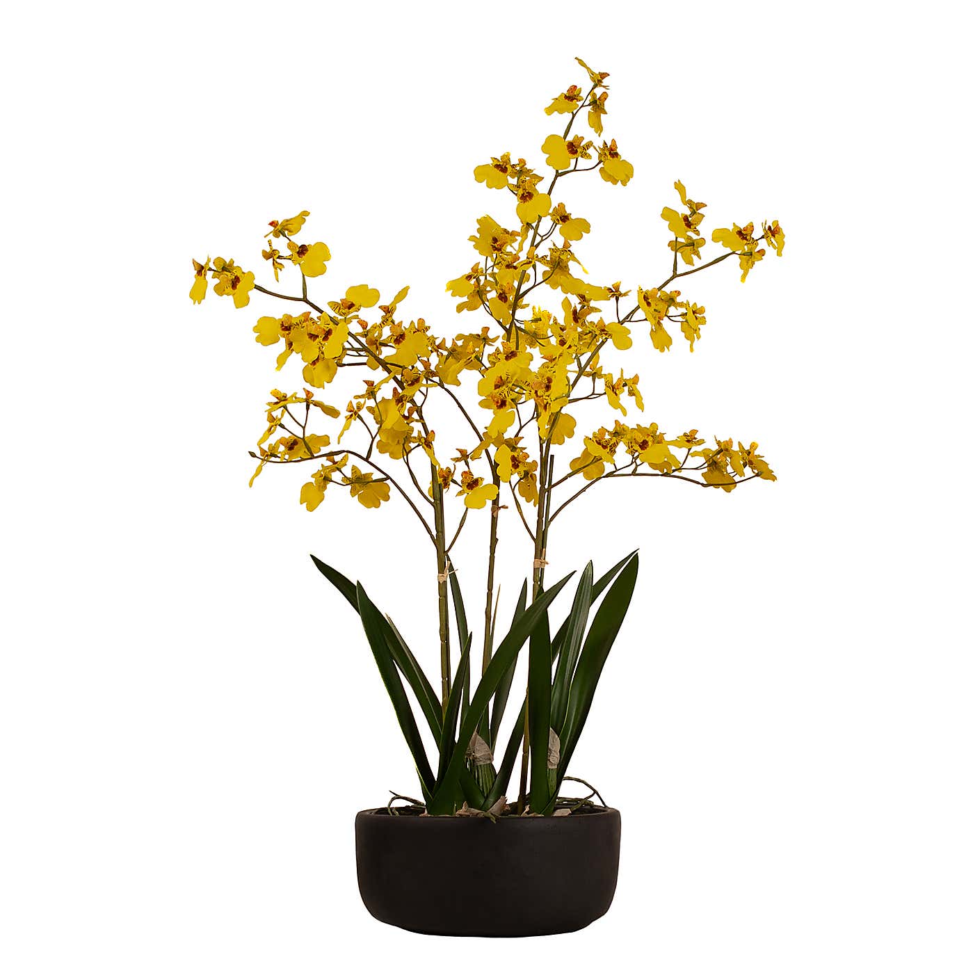 Artificial Yellow Dancing Orchid in Black Ceramic Plant Pot
