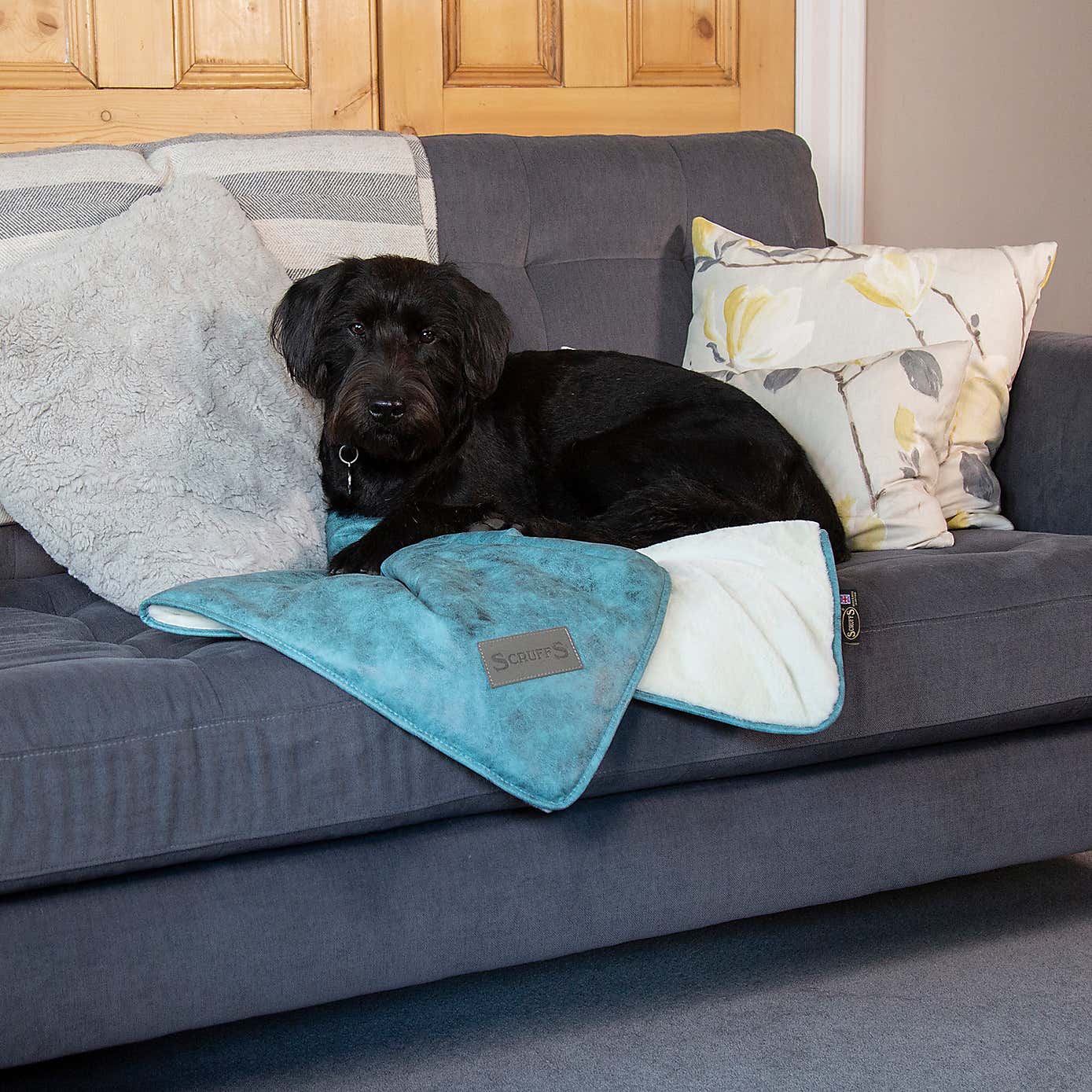 Scruffs Knightsbridge Dog Blanket