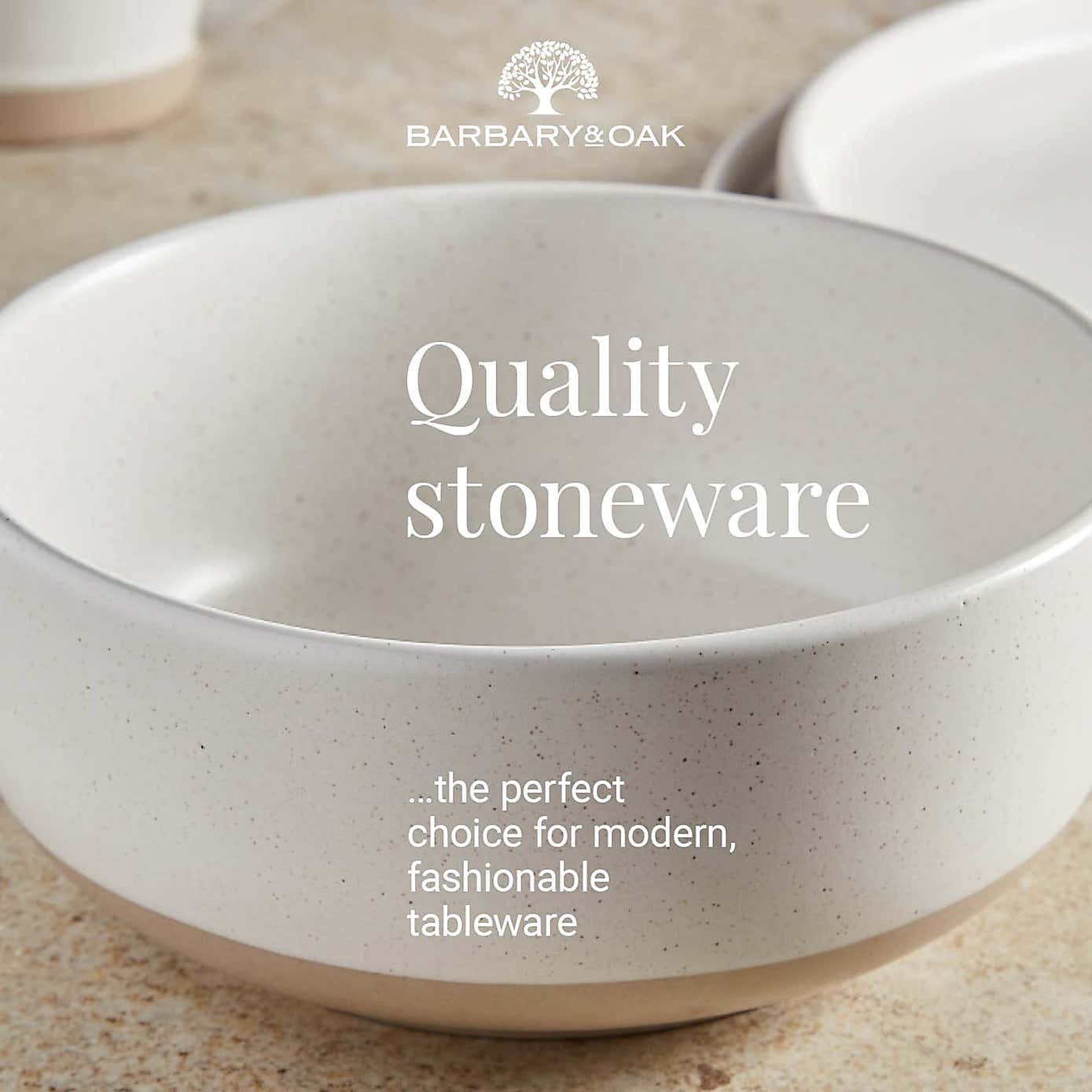 Barbary & Oak Avena Stoneware 16 Piece Dinner Set