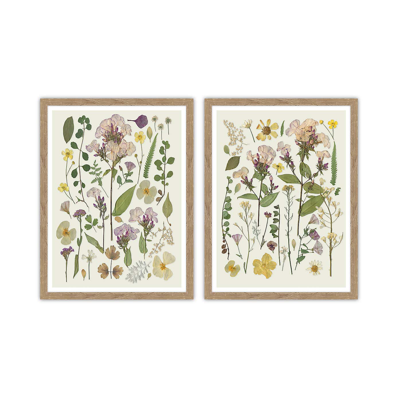 Set of 2 Pressed Flowers Framed Prints