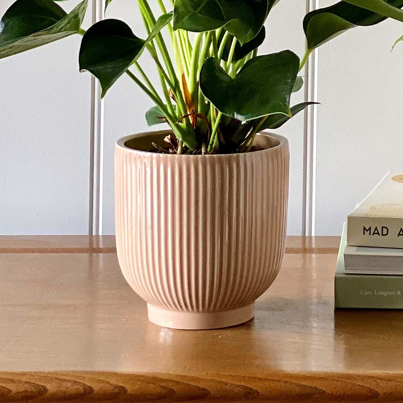 Beards & Daisies Air Purifying Pair Peace Lily and Peach Anthurium House Plant in Ribbed Pot