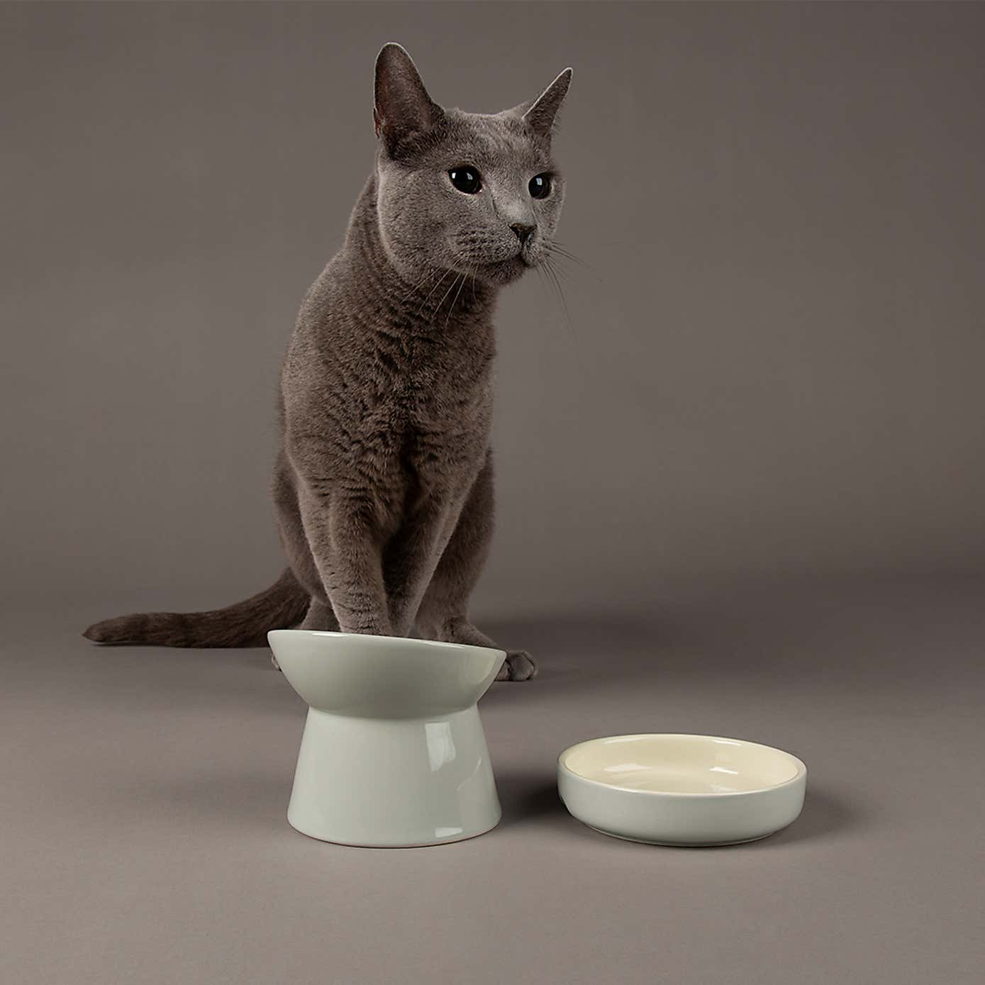 Scruffs Icon Raised Cat Feeder Bowl and Saucer Set