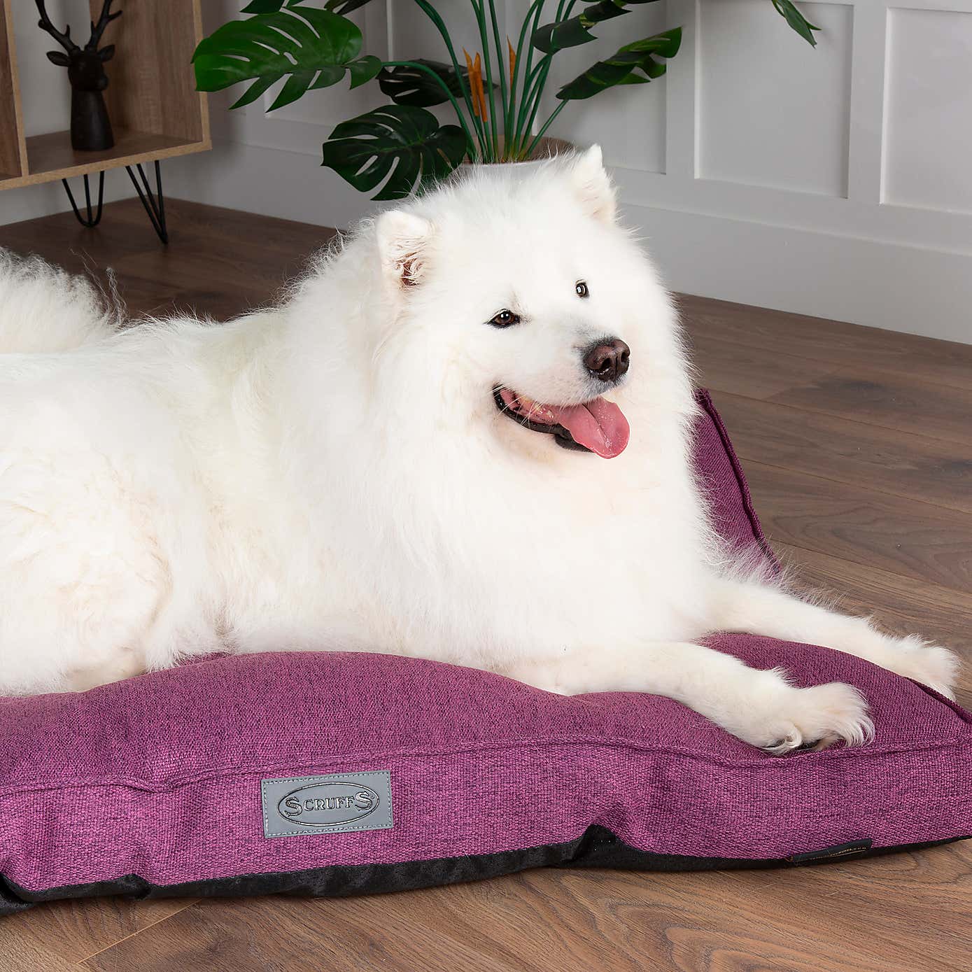 Scruffs Manhattan Mattress Pet Bed