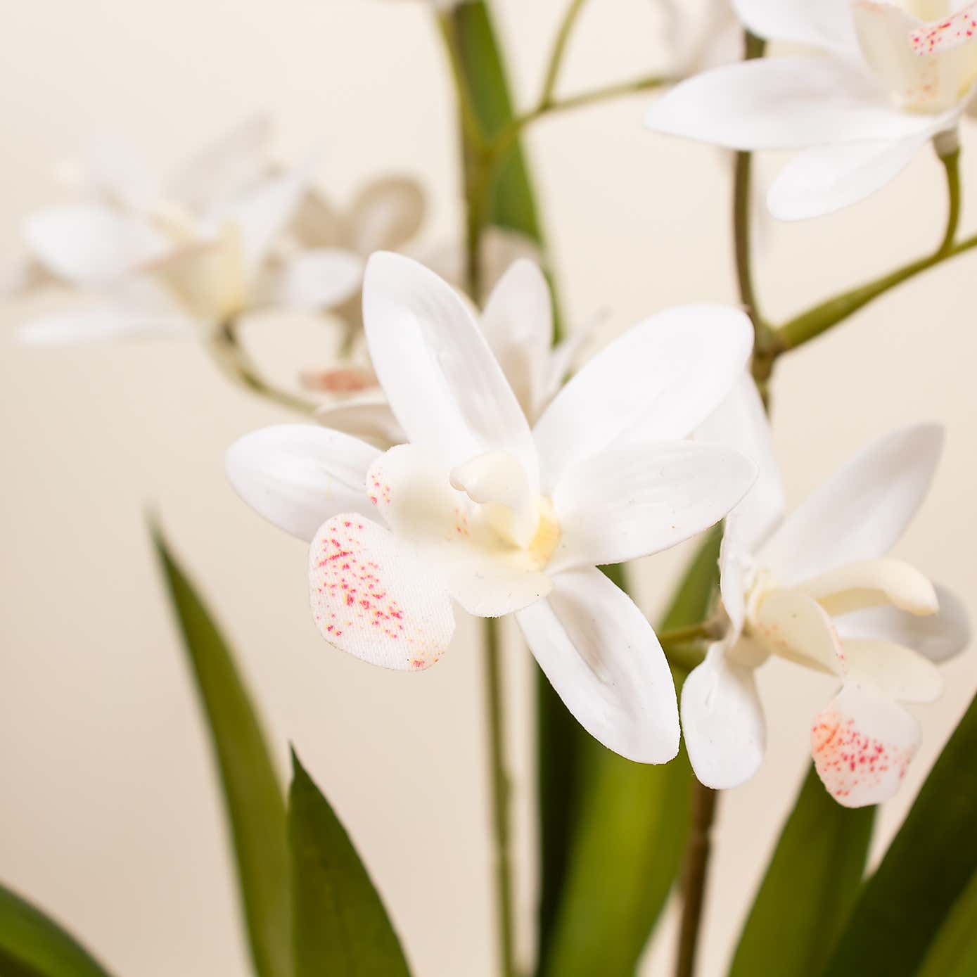 Artificial White Mini Cymbidium Orchid in White Ceramic Plant Pot