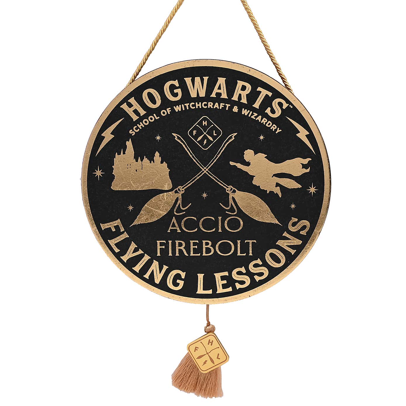 Harry Potter Flying Lesson Hanging Plaque