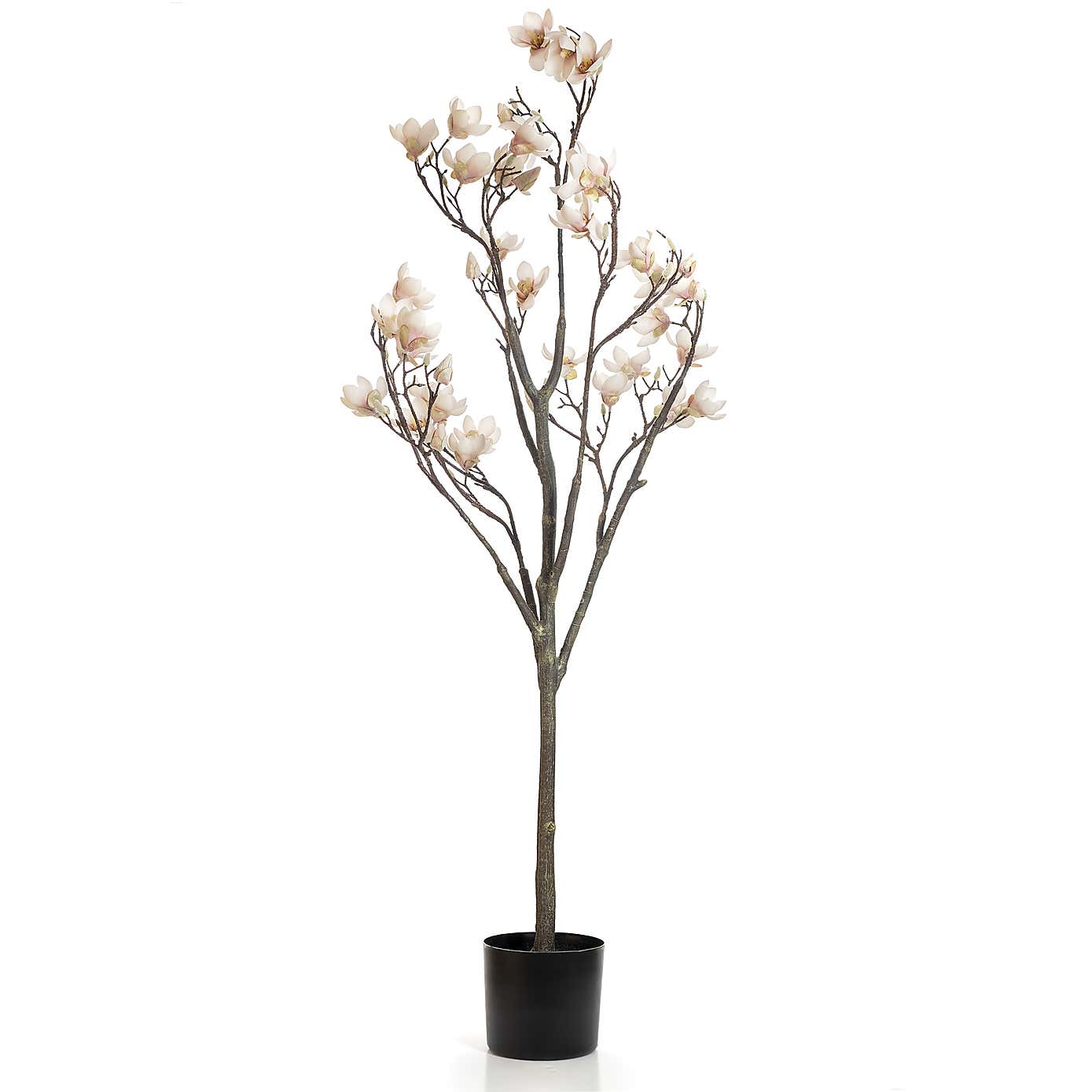 Artificial Cream Magnolia Tree in Black Plant Pot