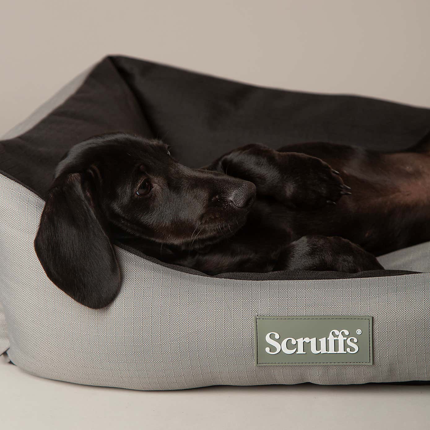 Scruffs Expedition Box Bed