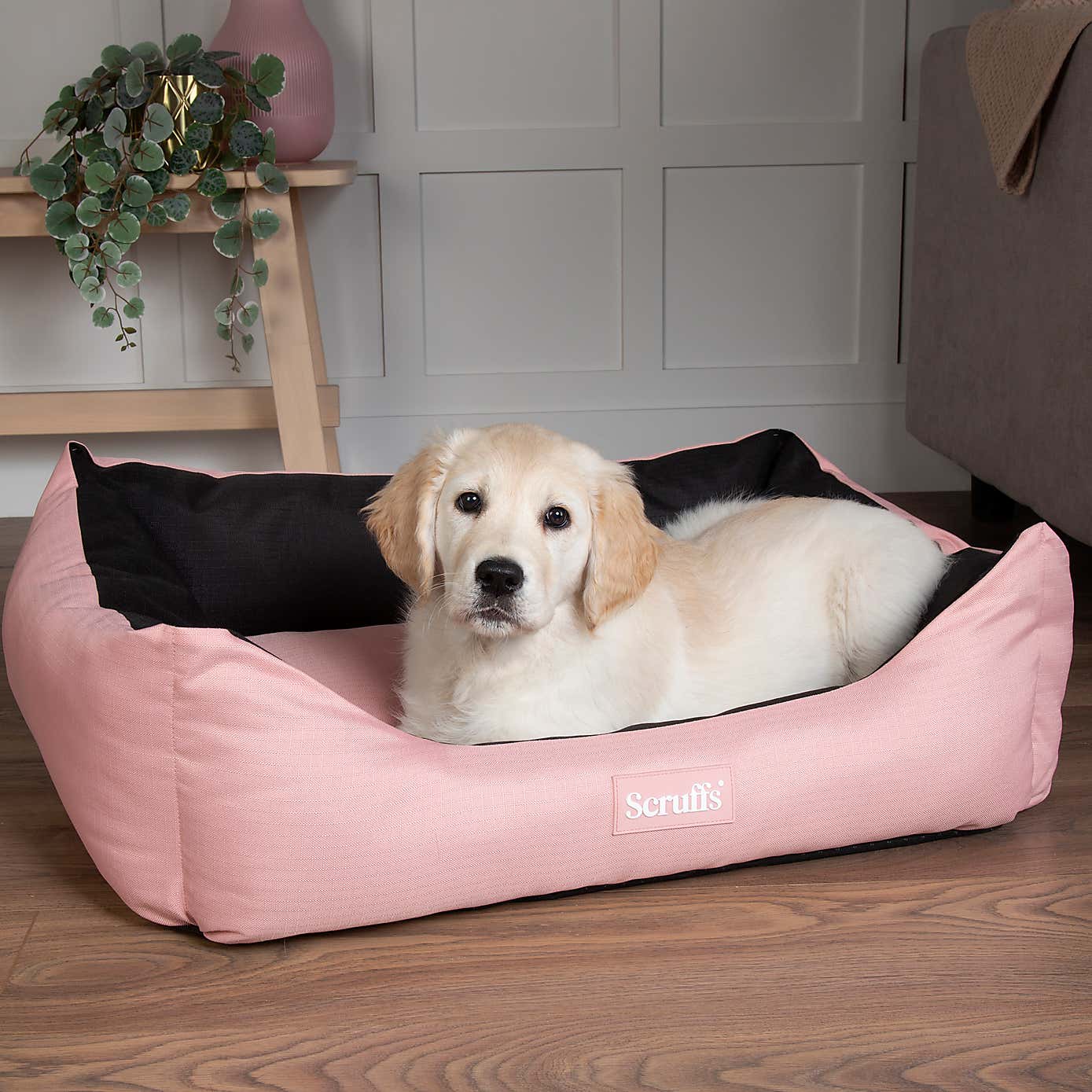 Scruffs Expedition Box Bed