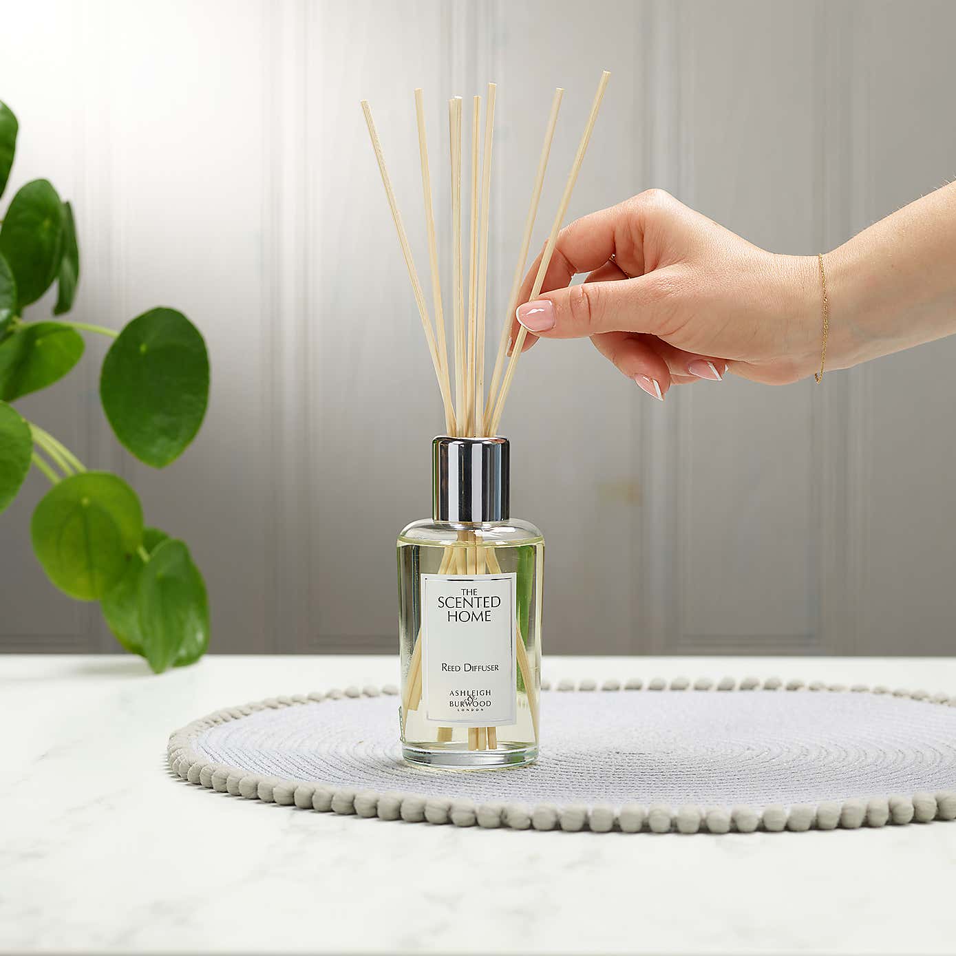 Enchanted Forest Reed Diffuser