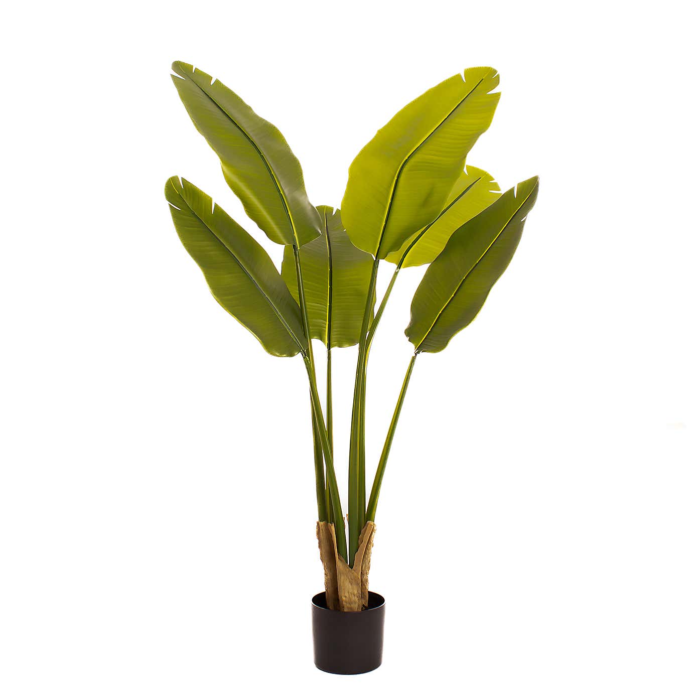 Artificial Real Touch Banana Tree in Black Plastic Plant Pot