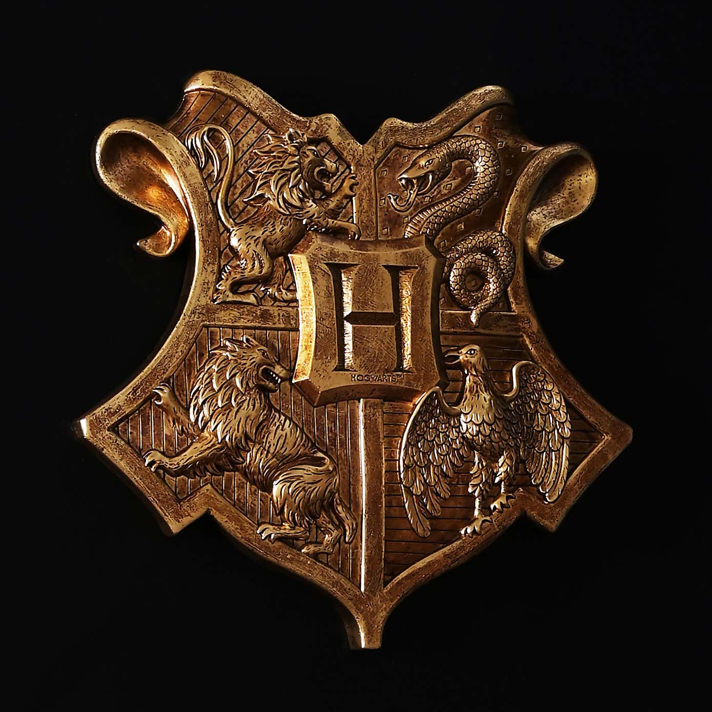 Harry Potter Wall Shield