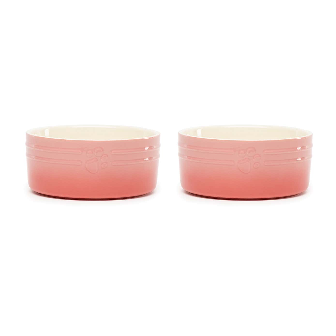 Set of 2 Scruffs Ombre Bowls