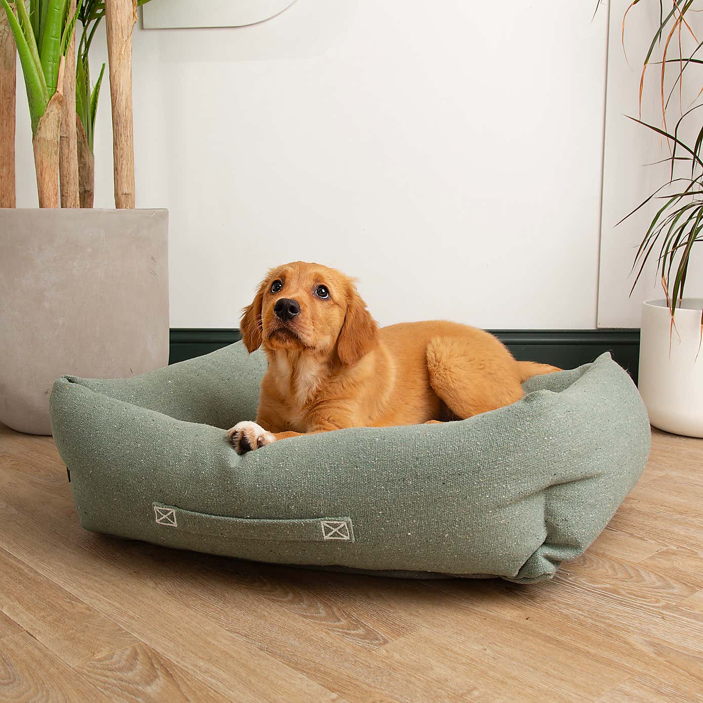 Scruffs 100% Recycled Eden Dog Box Bed