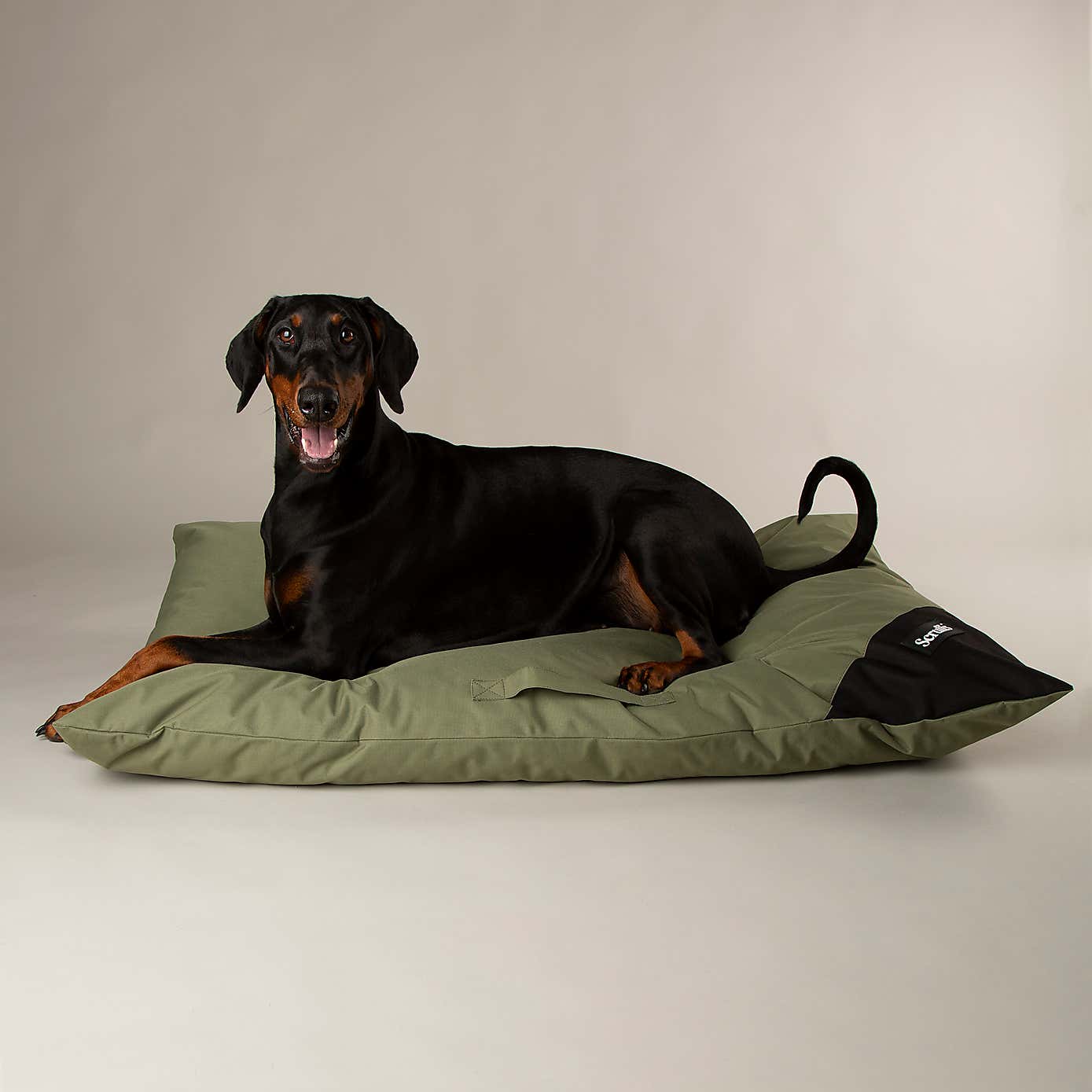 Scruffs Waterproof Expedition Memory Foam Dog Pillow