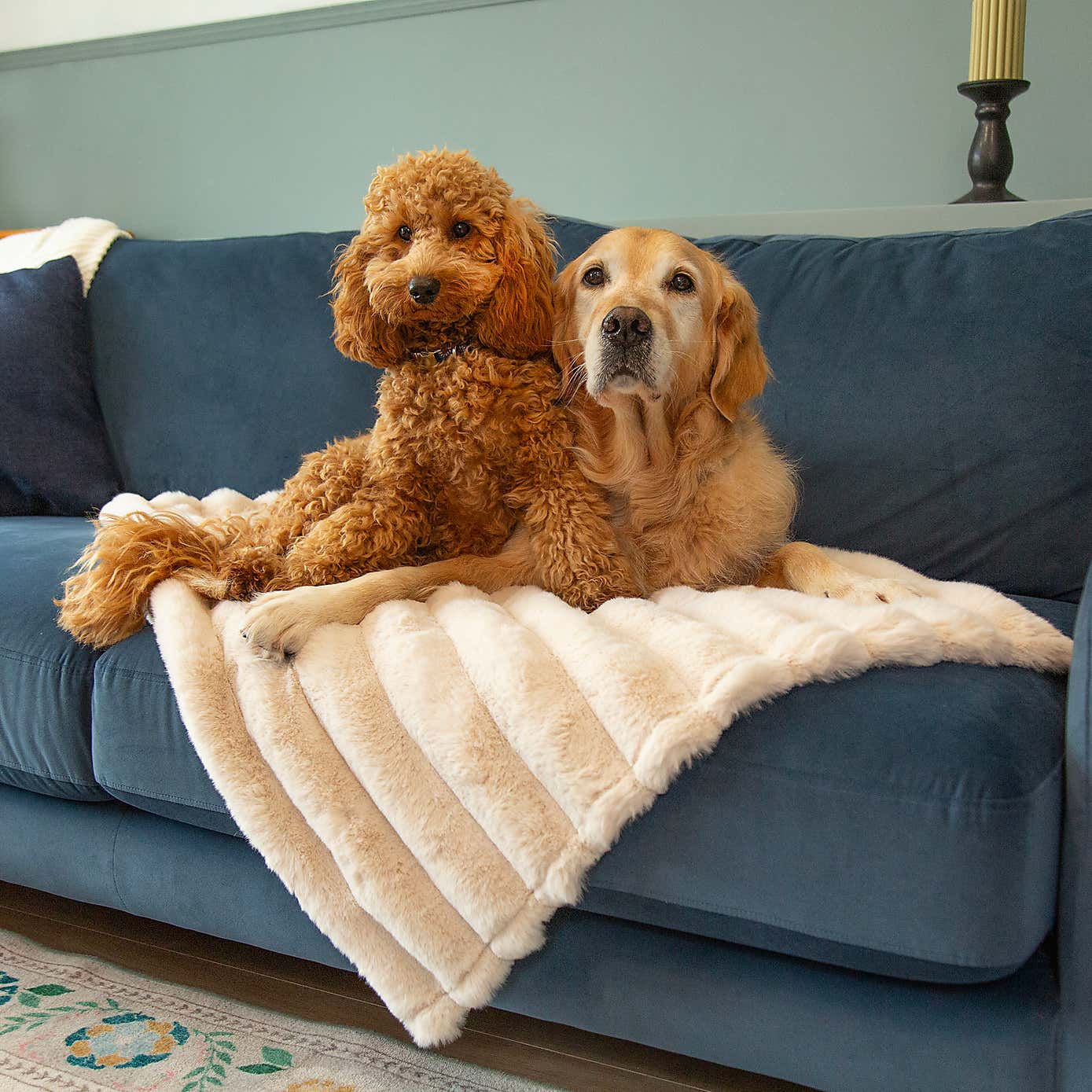 Scruffs Luxurious Aspen Pet Blanket
