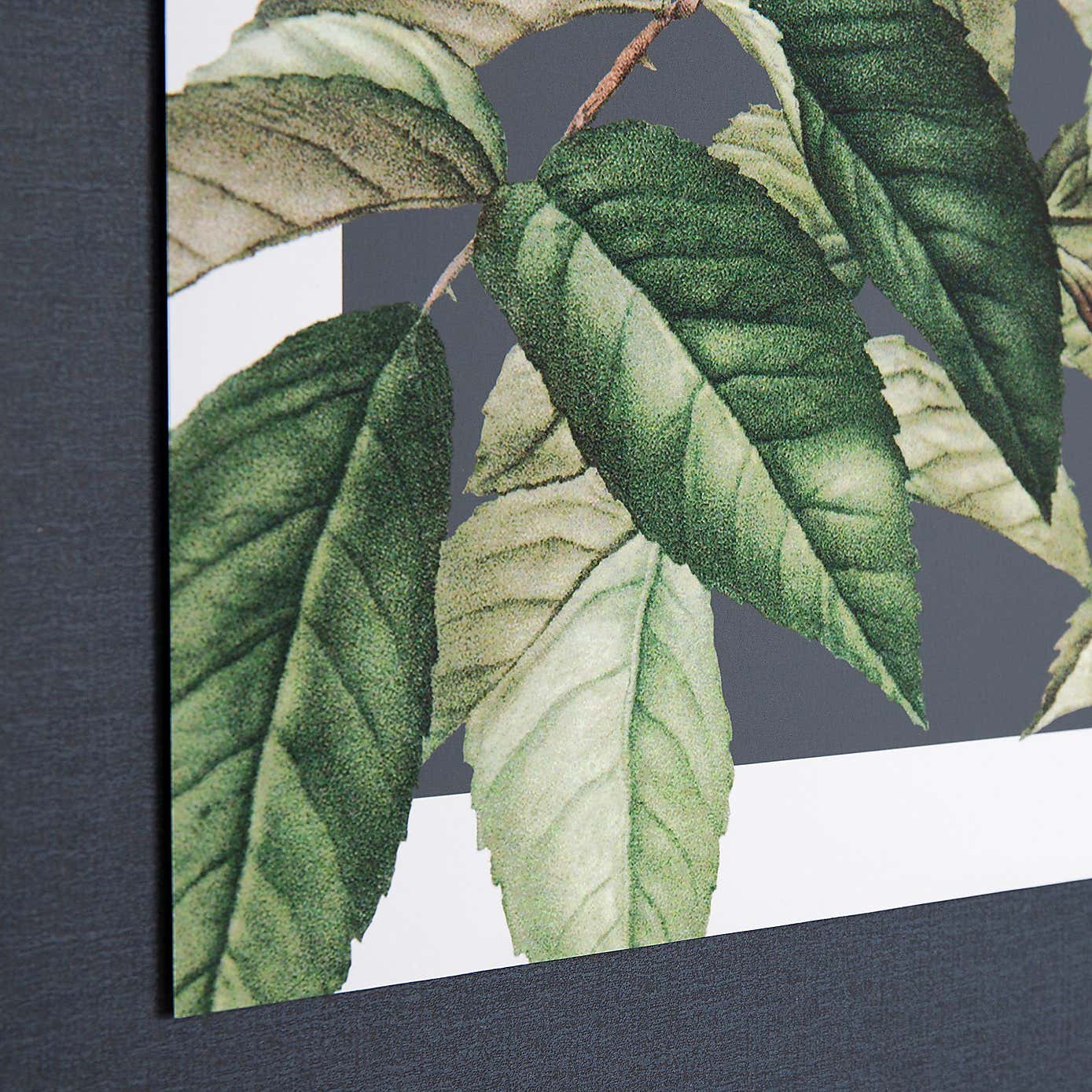 Cedar & Sage Rosa Moschata Framed Canvas