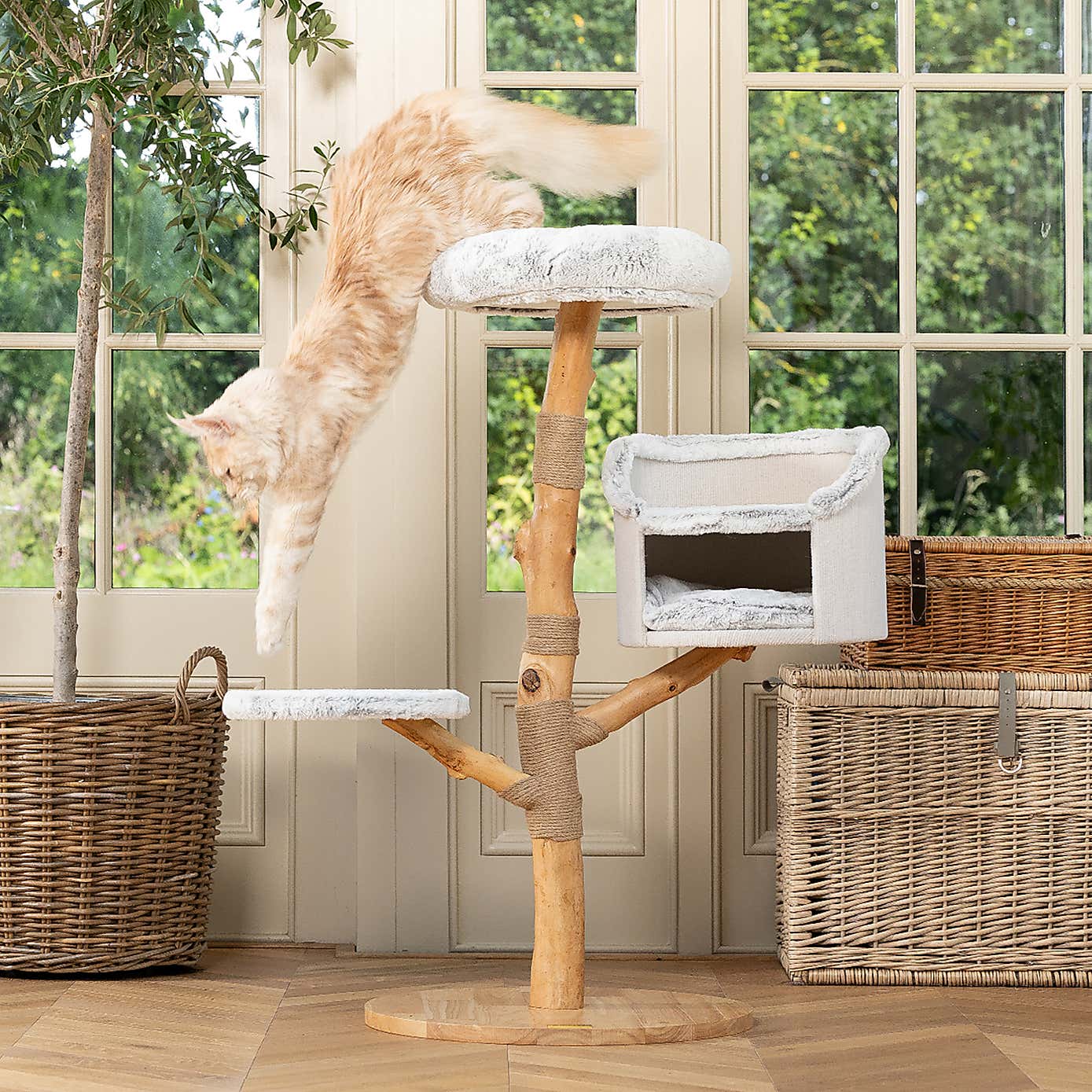 Lords and Labradors The Luxe Cat Scratch Post