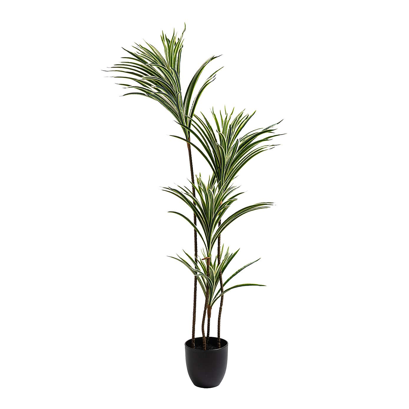 Artificial Real Touch Yucca Tree in Black Plant Pot