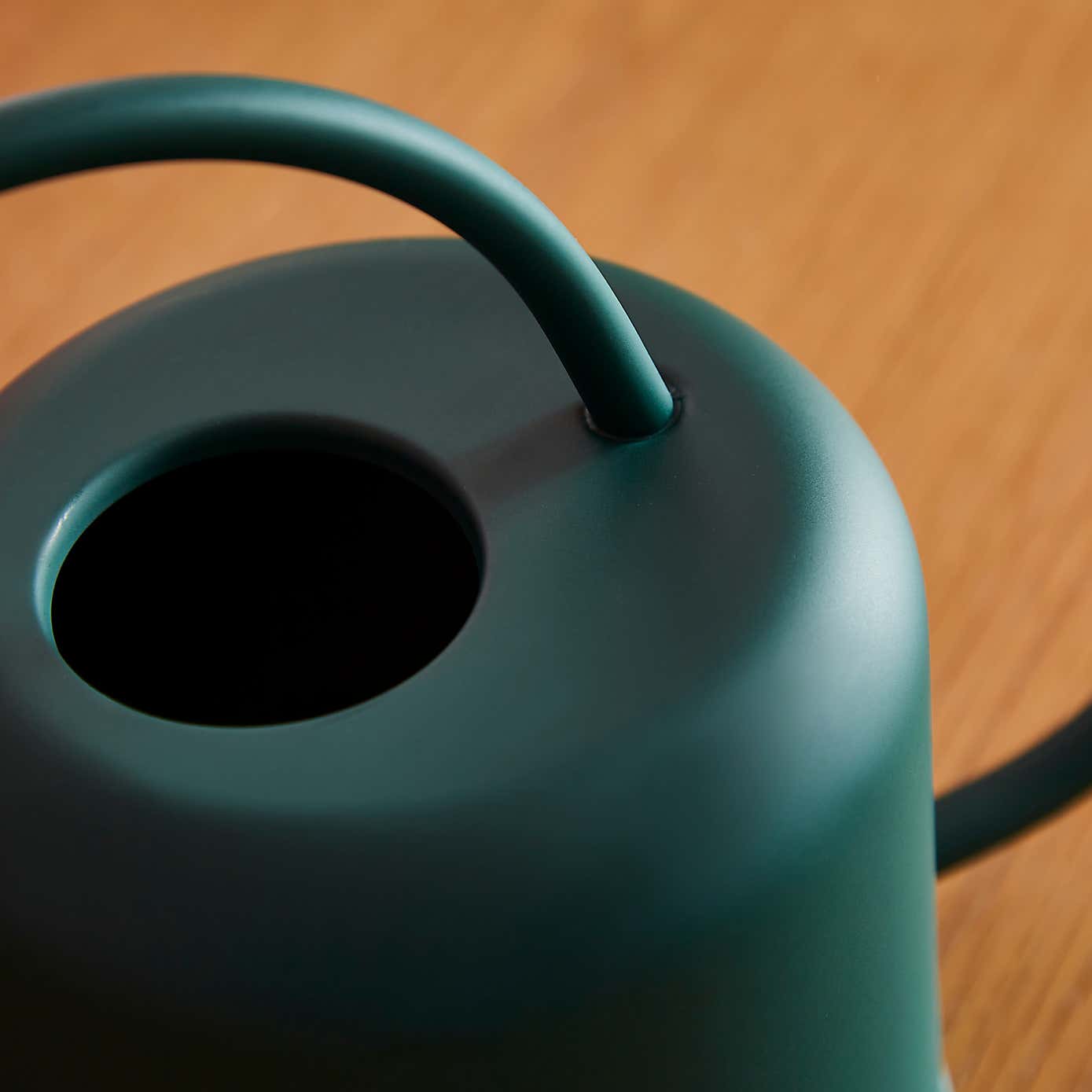 Elements Watering Can