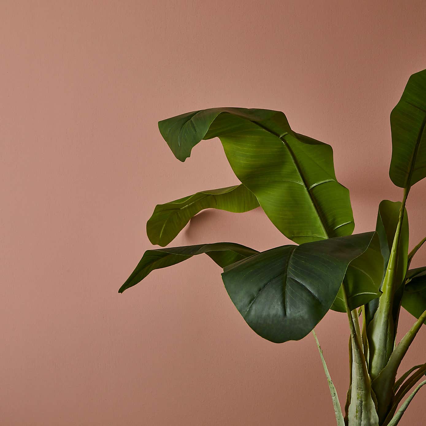 Dunelm Blush Matt Emulsion Paint