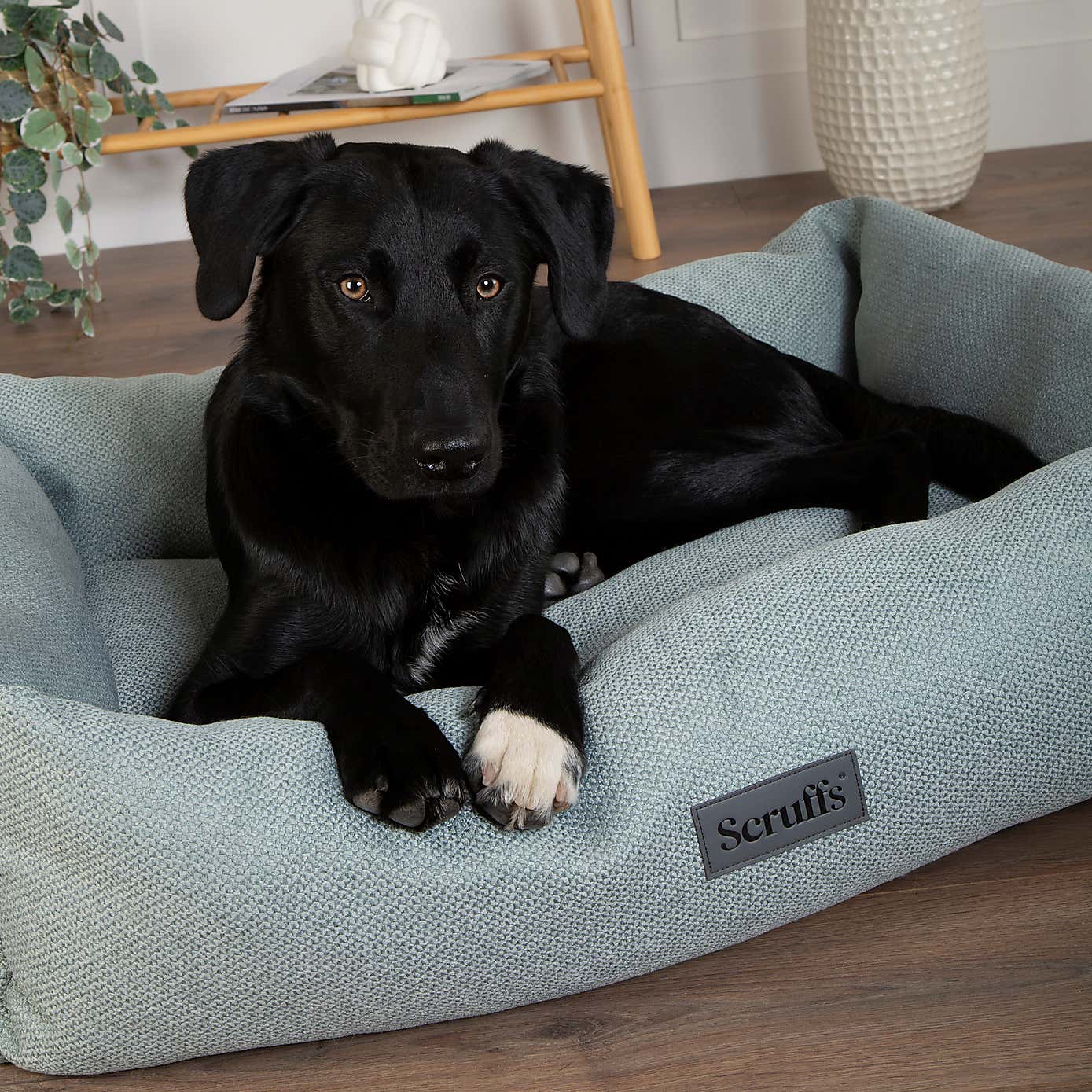 Scruffs Seattle Box Bed