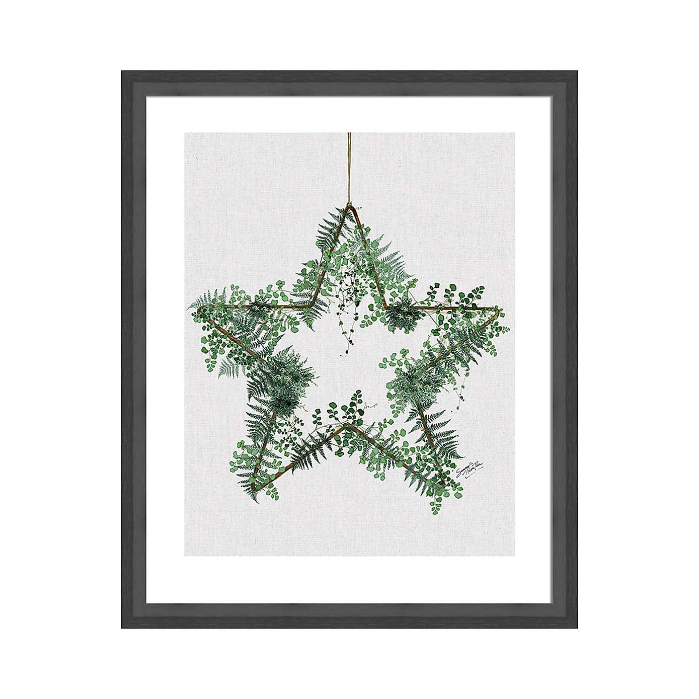The Art Group Fern Star Framed Print
