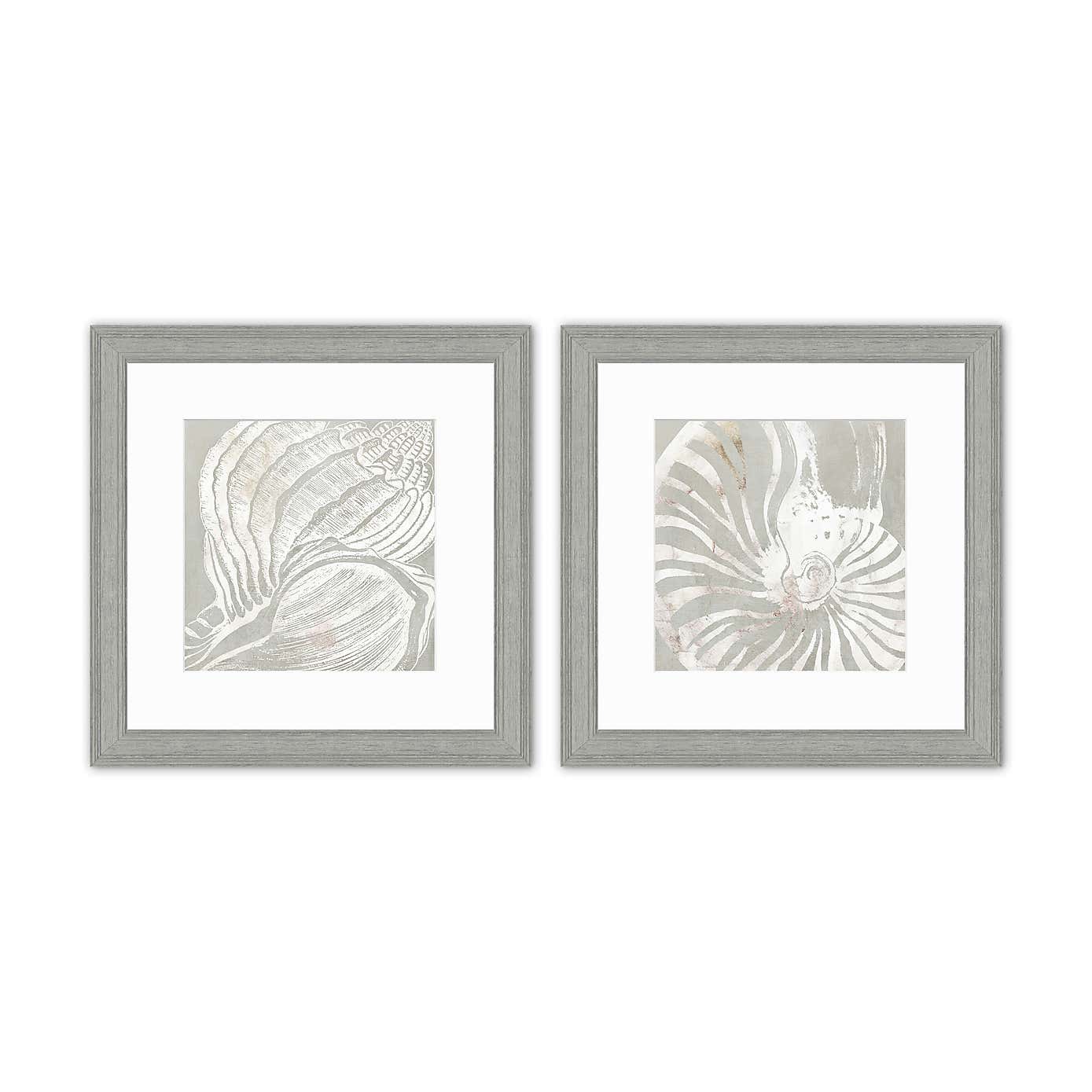 Set of 2 Sea Shells Framed Prints