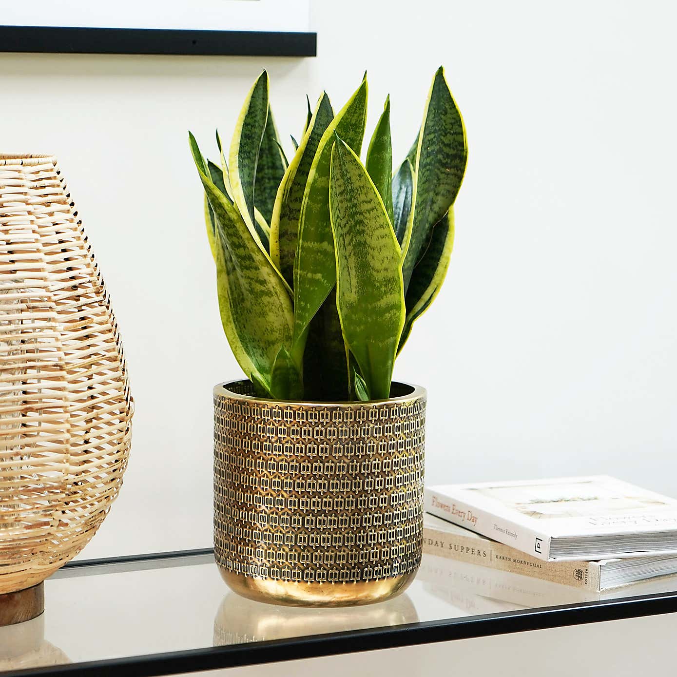 Solis Embossed Plant Pot