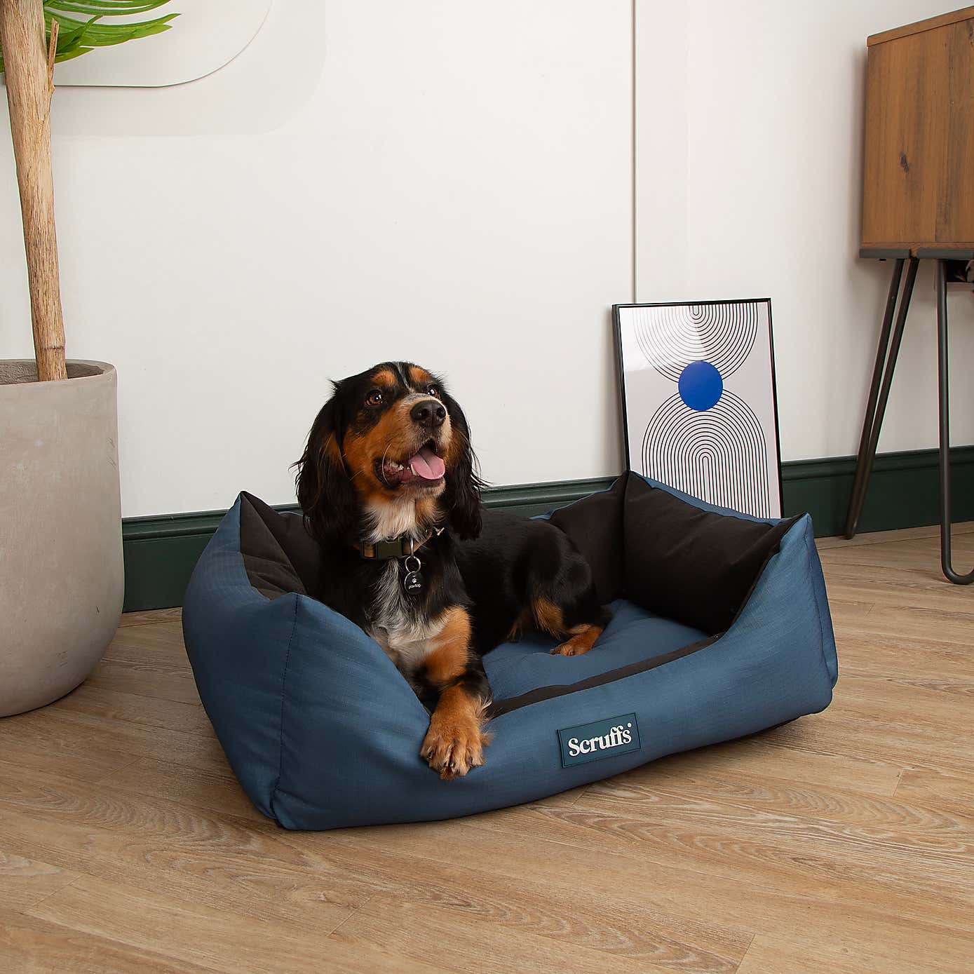 Scruffs Expedition Box Bed