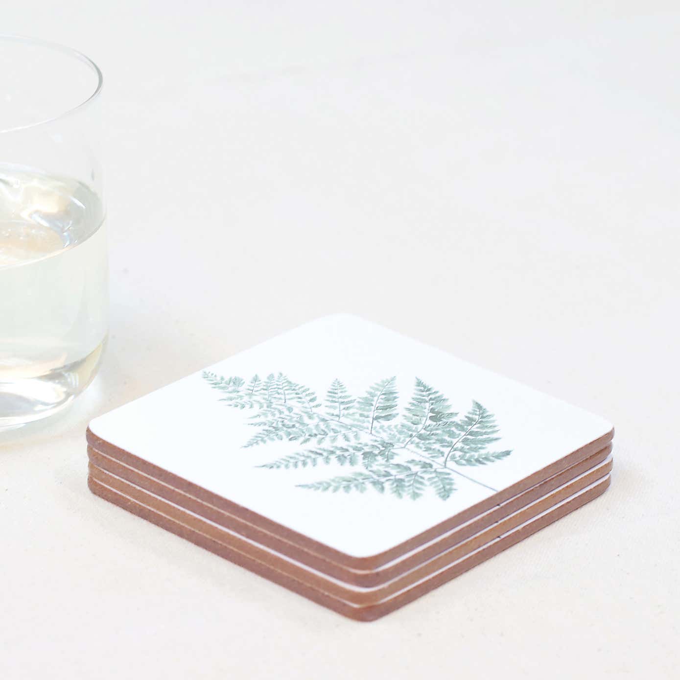 Fern Pack of 4 Corkback Coasters