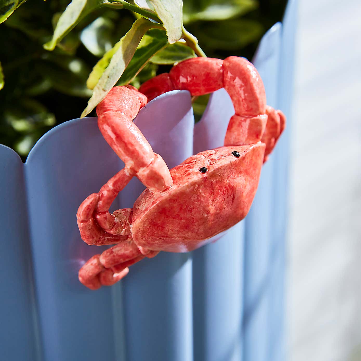 Crab Indoor Outdoor Pot Hanger