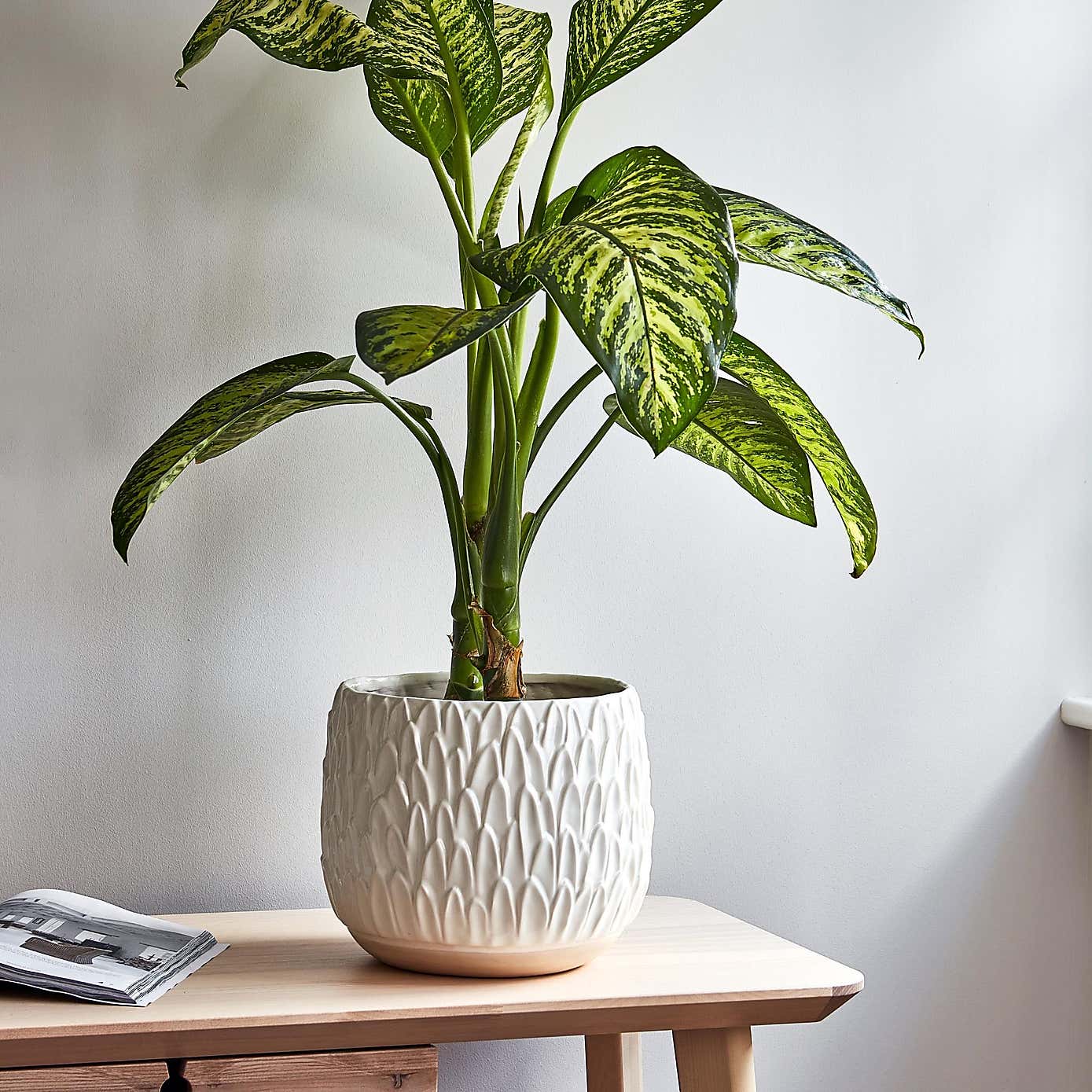 Arles Leaf Embossed Planter