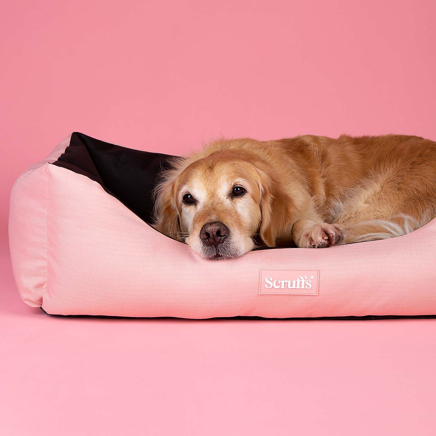 Scruffs Expedition Box Bed