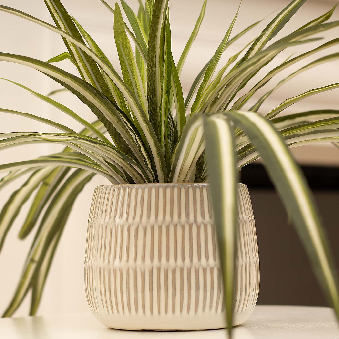 Artificial Set of 2 Spider and Eucalyptus Plants in Ribbed Ceramic Plant Pots