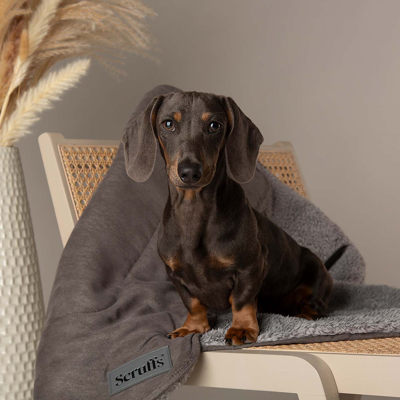 Scruffs Cosy Dog Blanket