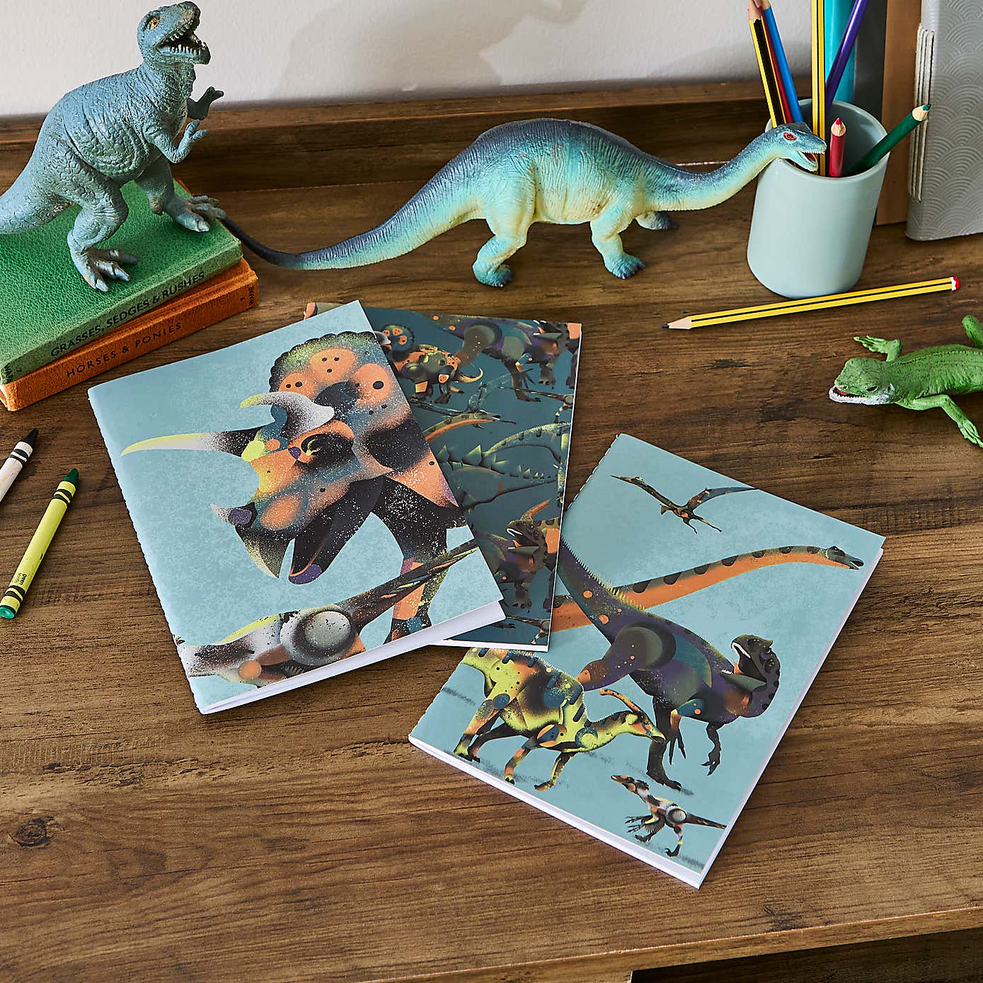 Set of 3 Age of Dinosaurs Softcover Notebooks