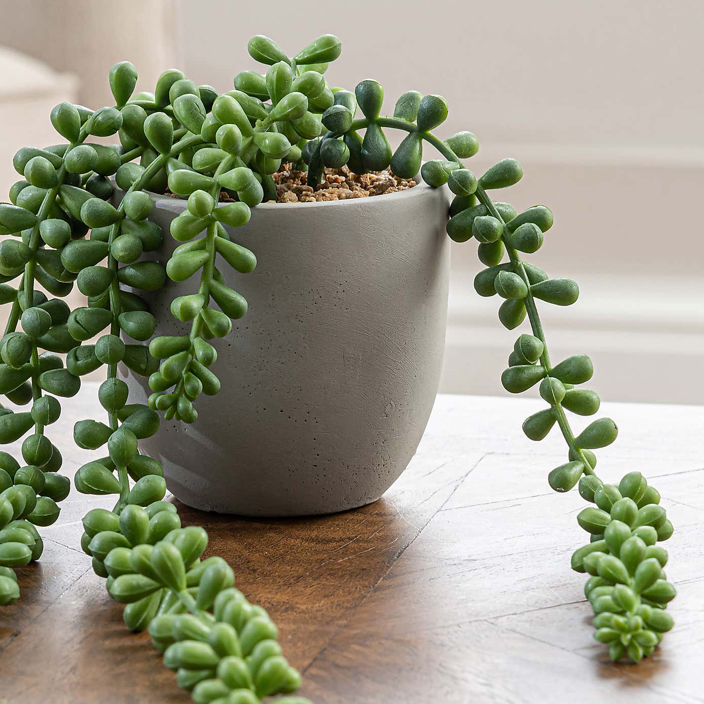 Artificial String of Pearls in Grey Cement Plant Pot