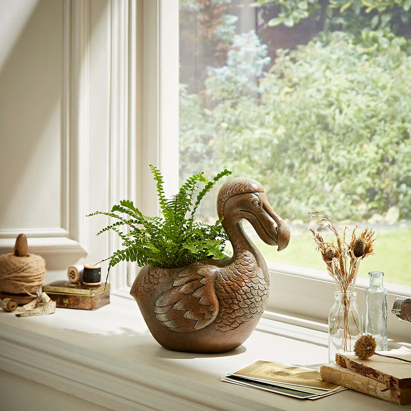 Dodo Plant Pot