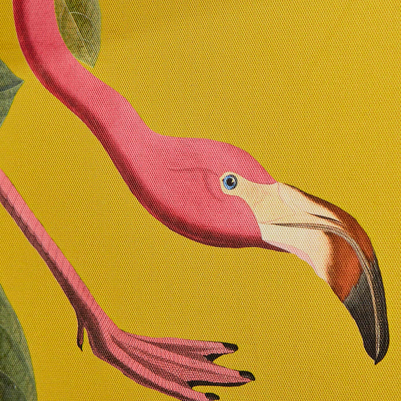 Flamingo Capped Canvas