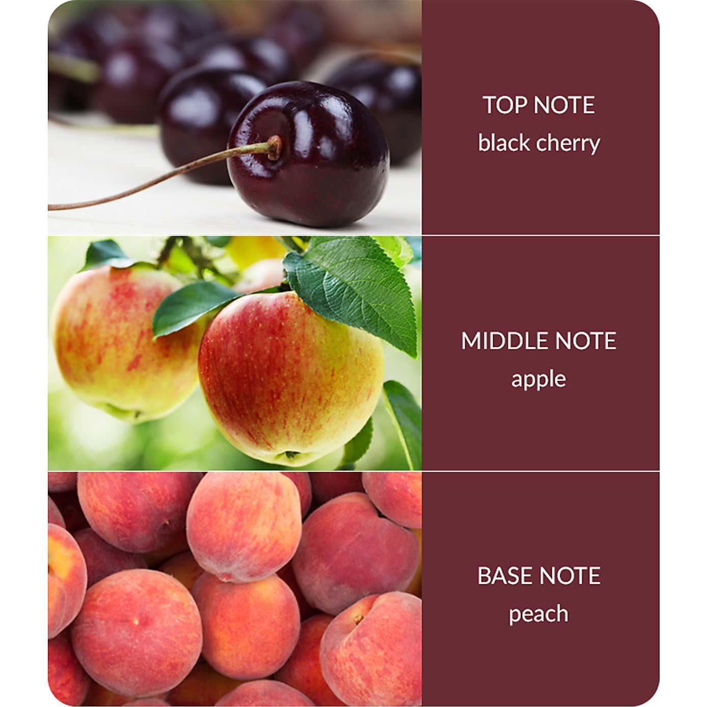 Heart and Home Ellipse Sweet Black Cherries Multi Wick Candle