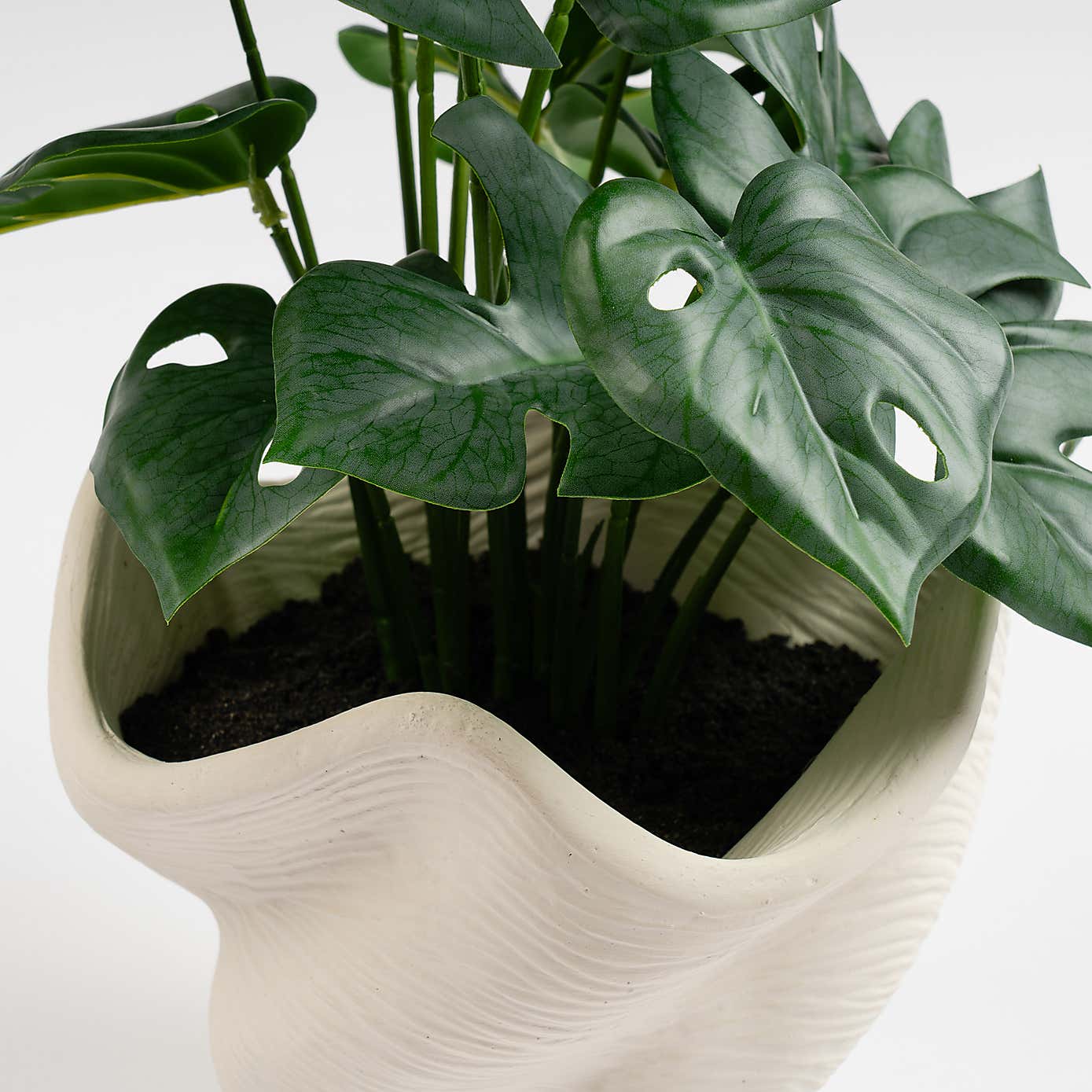 Artificial Variegated Monstera in Cement Shell Plant Pot