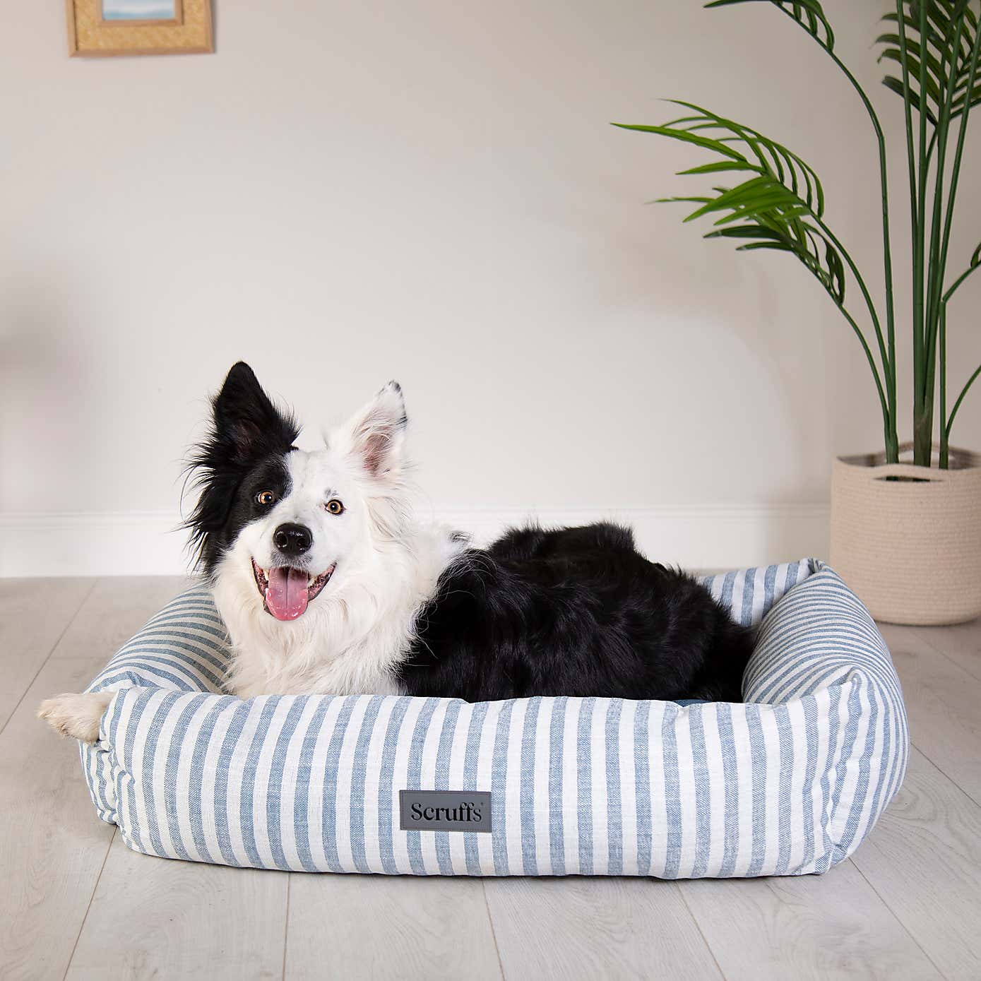 Scruffs Luxury Coastal Pet Box Bed