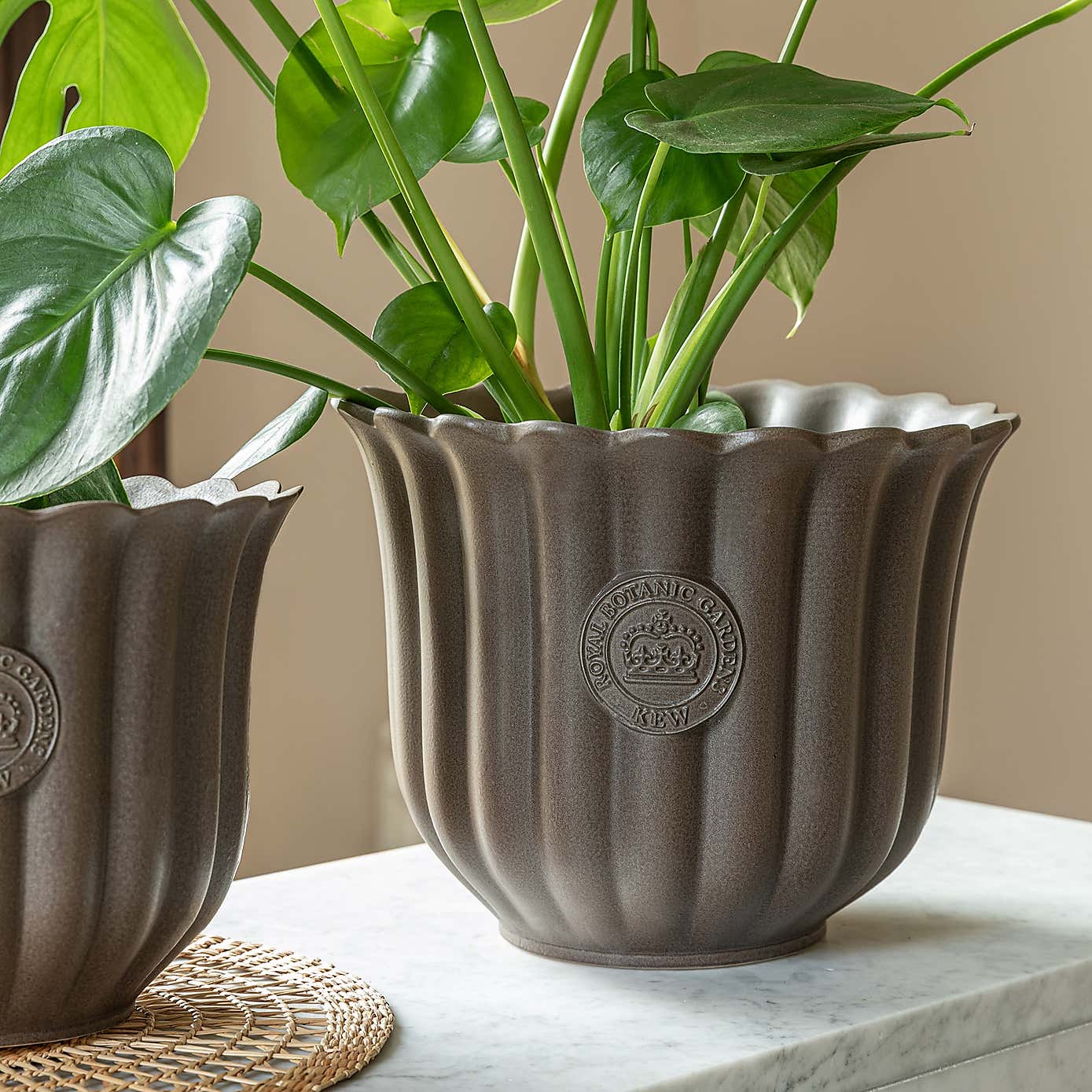 Kew Fluted Tulip Planter