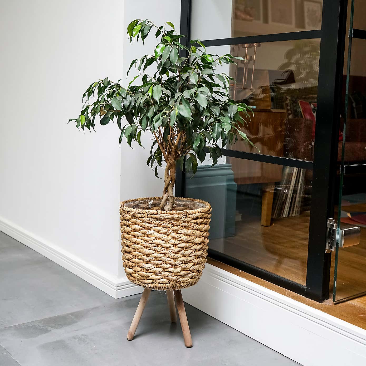 Water Hyacinth Line Basket Plant Pot